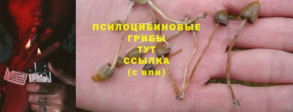 прущая мука Медвежьегорск
