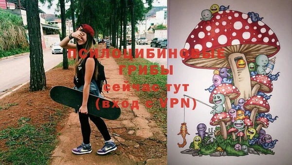 винт Мегион