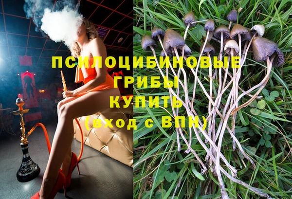 винт Мегион