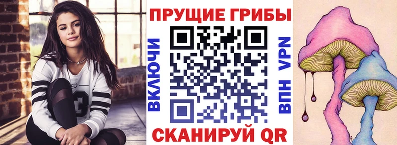 Псилоцибиновые грибы Psilocybine cubensis  Купить закладки  Знаменск 